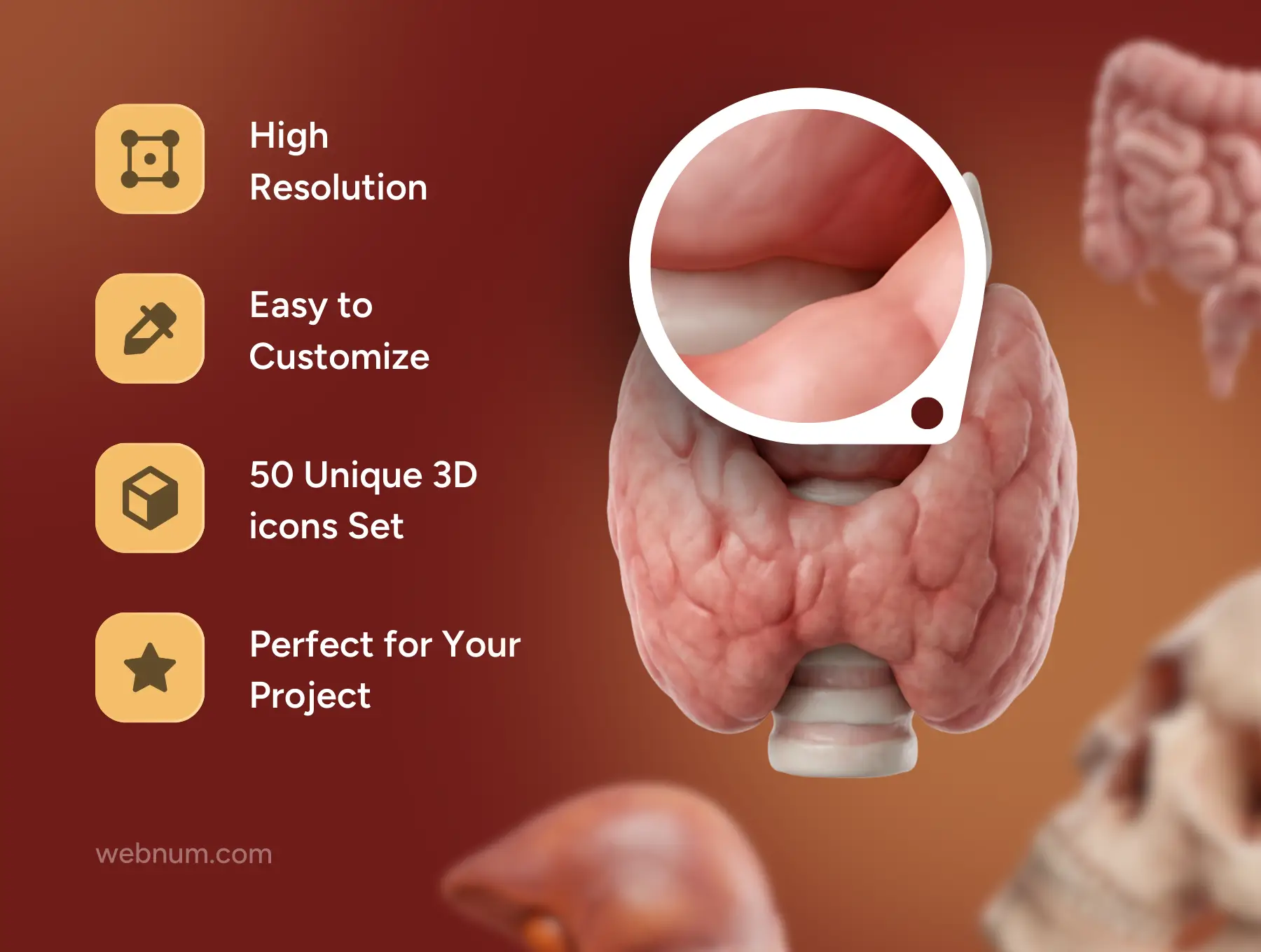 Human Anatomy 3D icons - Image 3