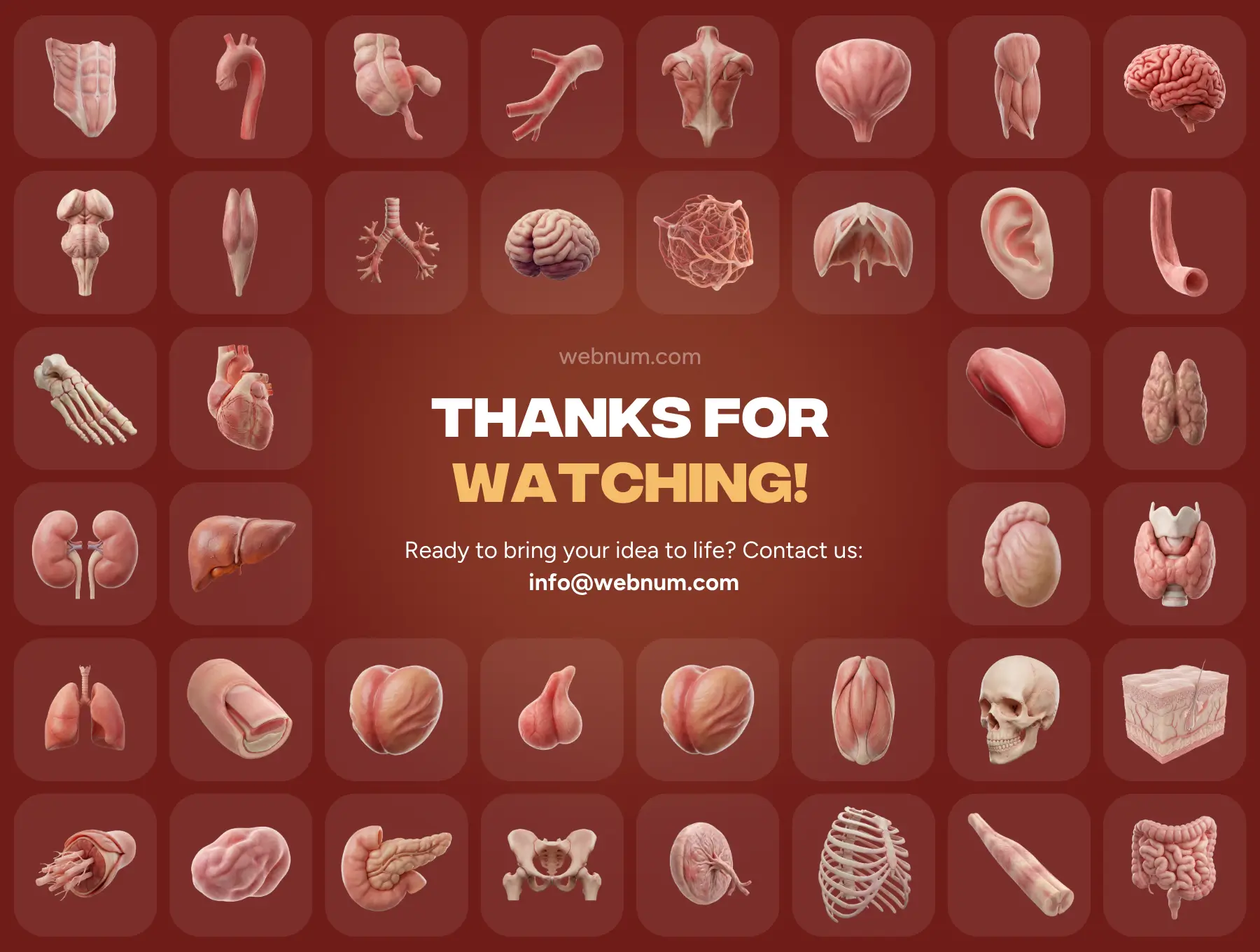 Human Anatomy 3D icons - Image 7