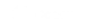 Codex